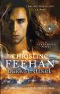 Dark Sentinel - Preview