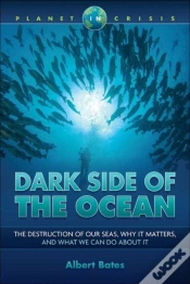 Capa do artigo Dark Side Of The Ocean