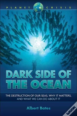 Capa do artigo Dark Side Of The Ocean