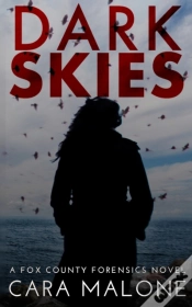 Capa do artigo Dark Skies