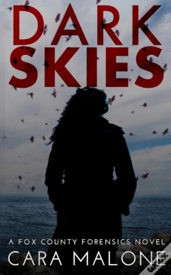 Capa do artigo Dark Skies