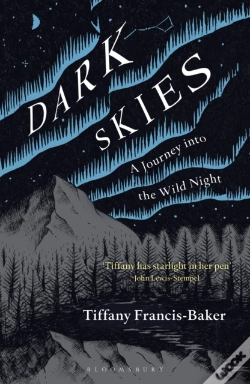 Capa do artigo Dark Skies