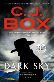 Capa do artigo Dark Sky