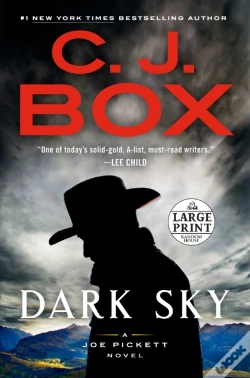Capa do artigo Dark Sky