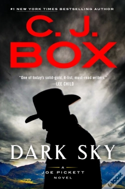 Capa do artigo Dark Sky