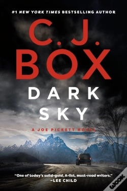 Capa do artigo Dark Sky