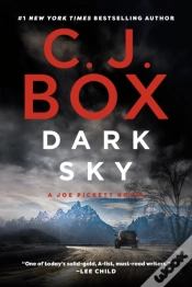Capa do artigo Dark Sky