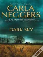 Capa do artigo Dark Sky