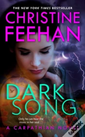 Capa do artigo Dark Song