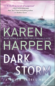 Capa do artigo Dark Storm