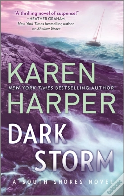 Capa do artigo Dark Storm