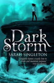 Capa do artigo Dark Storm