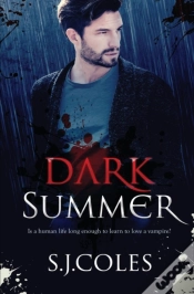 Capa do artigo Dark Summer
