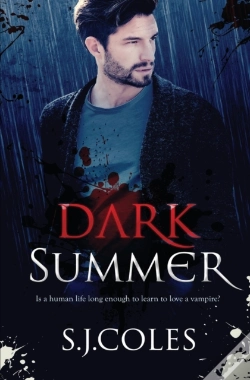 Capa do artigo Dark Summer