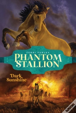 Capa do artigo Dark Sunshine