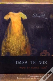 Capa do artigo Dark Things