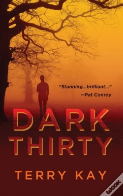 Capa do artigo Dark Thirty