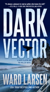 Capa do artigo Dark Vector