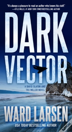Capa do artigo Dark Vector