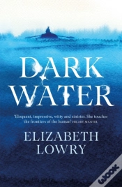Capa do artigo Dark Water