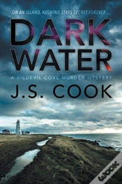 Capa do artigo Dark Water