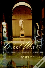 Capa do artigo Dark Water