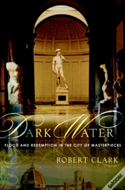 Capa do artigo Dark Water