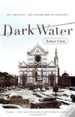 Capa do artigo Dark Water