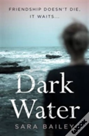 Capa do artigo Dark Water