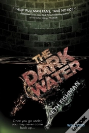 Capa do artigo Dark Water
