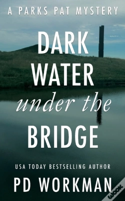 Capa do artigo Dark Water Under The Bridge: A Quick-Rea