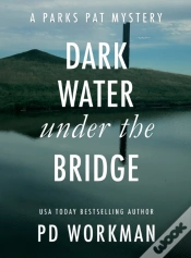 Capa do artigo Dark Water Under The Bridge: A Quick-Rea