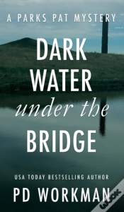 Capa do artigo Dark Water Under The Bridge