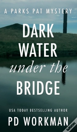 Capa do artigo Dark Water Under The Bridge