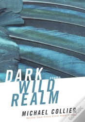Capa do artigo Dark Wild Realm