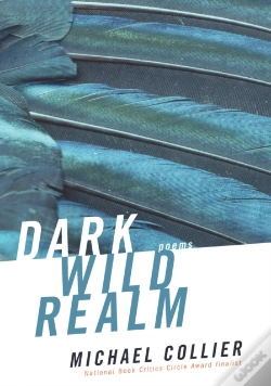 Capa do artigo Dark Wild Realm