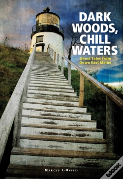Capa do artigo Dark Woods, Chill Waters