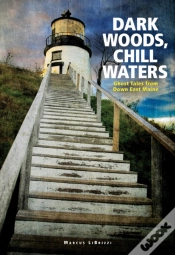 Capa do artigo Dark Woods, Chill Waters