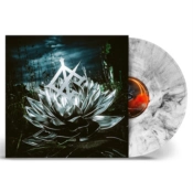 Capa do artigo Darkbloom - Vinil