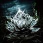 Darkbloom - Vinil - Preview