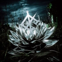 Capa do artigo Darkbloom - Vinil