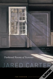 Capa do artigo Darkened Rooms Of Summer