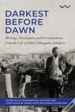 Capa do artigo Darkest Before The Dawn