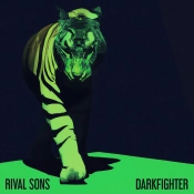 Capa do artigo DARKFIGHTER - Vinil