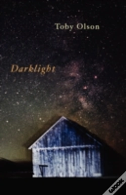 Capa do artigo Darklight