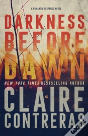 Capa do artigo Darkness Before Dawn