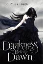 Darkness Before Dawn - Preview
