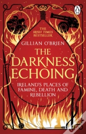 Capa do artigo Darkness Echoing