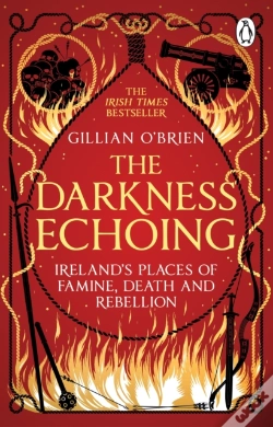 Capa do artigo Darkness Echoing