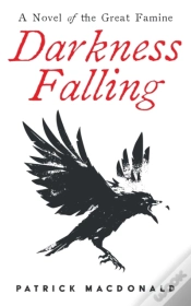 Capa do artigo Darkness Falling